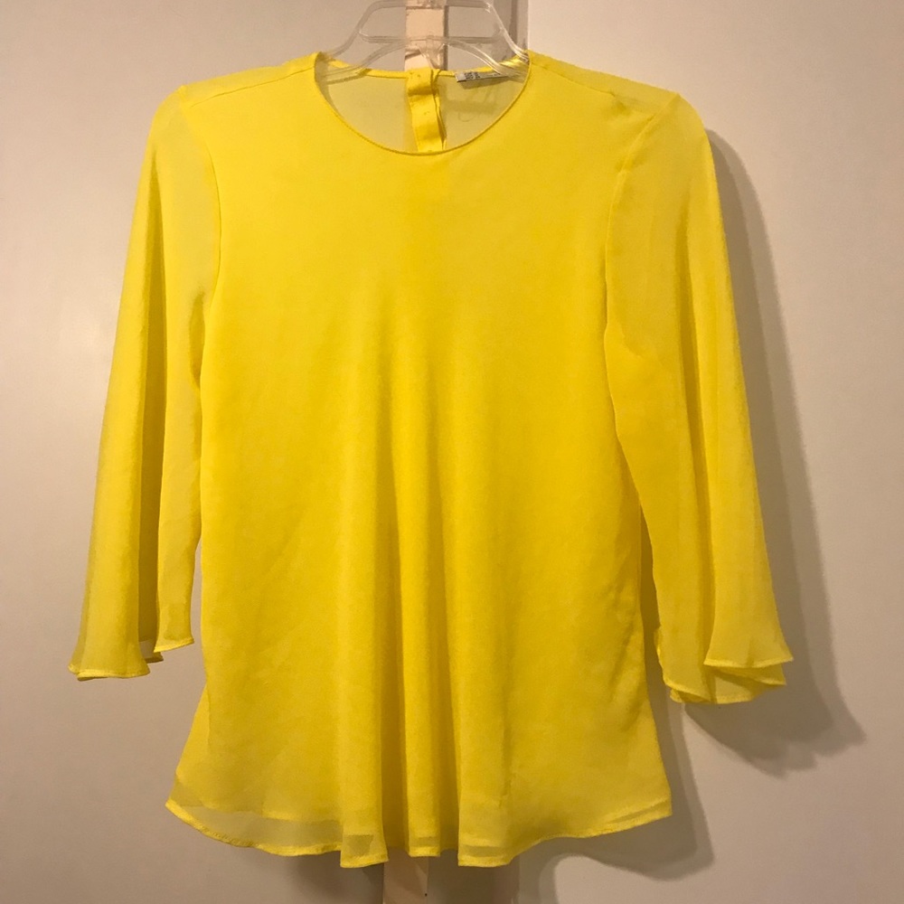 Zara bell sleeve top